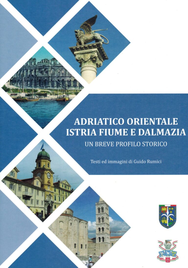 Immagine 1 di 1