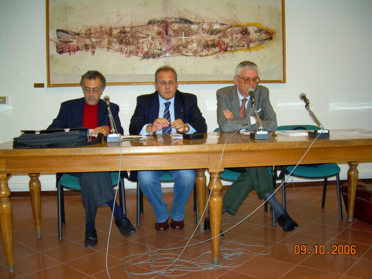 Immagine 14 di 16